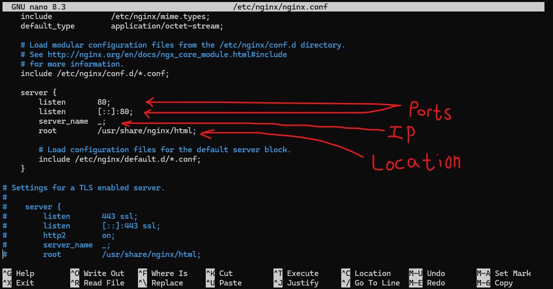 Studying the nginx server configuration.